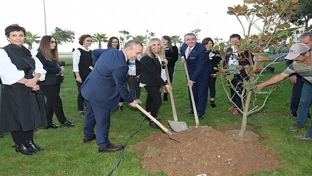 Manolya kokulu şehir Samsun