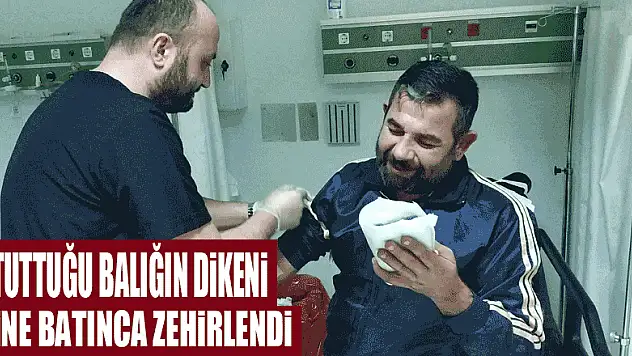 Tuttuğu balığın dikeni eline batınca zehirlendi
