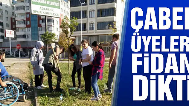ÇABED üyeleri fidan dikti