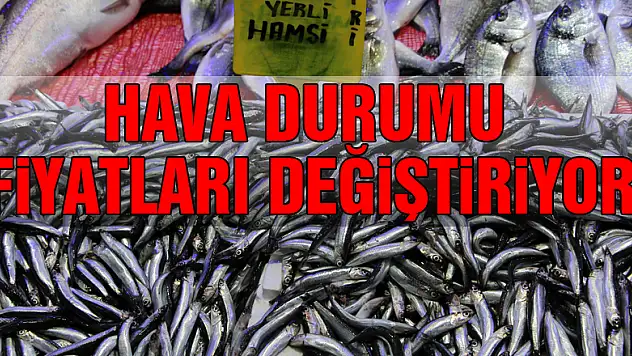 Balık fiyatları havaya endeksli