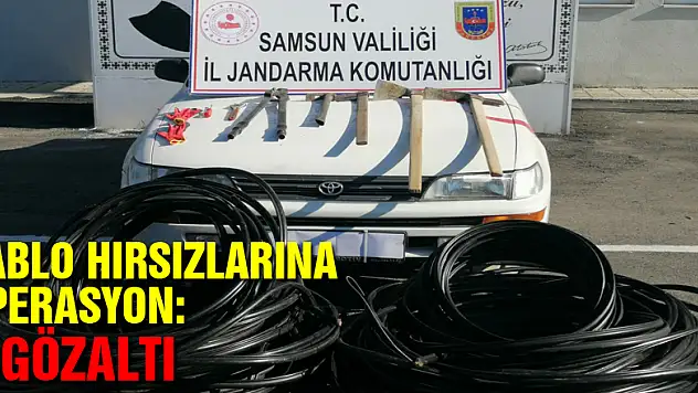 Samsun'da jandarmadan kablo hırsızlarına operasyon: 3 gözaltı