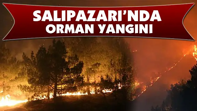 Salıpazarı'nda orman yangını