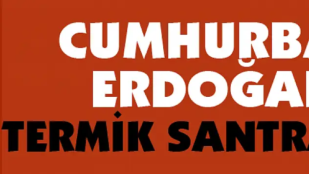 Cumhurbaşkanı Erdoğan'dan termik santral talimatı