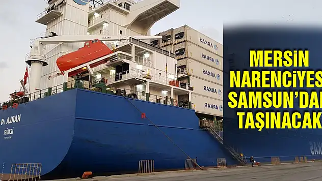 Mersin narenciyesi Samsun'dan taşınacak