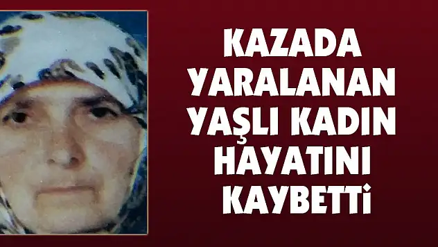 Kazada yaralanan yaşlı kadın hayatını kaybetti