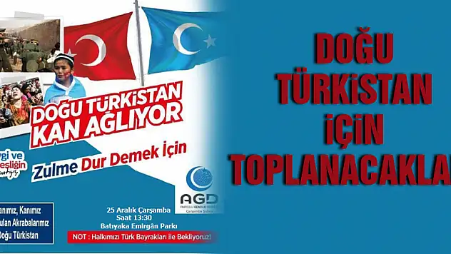 Doğu Türkistan için toplanacaklar