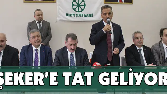 ŞEKER'E TAT GELİYOR!