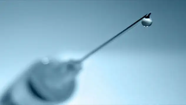 Güney Kıbrıs'ta domuz gribi alarmı