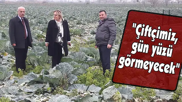'Çiftçimiz, gün yüzü görmeyecek'