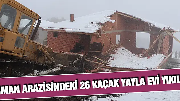 Samsun'da orman arazisindeki 26 kaçak yayla evi yıkıldı