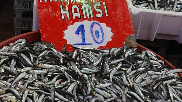 Hamsi yüz güldürdü