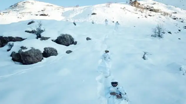 'Kapan-3 Kavaklı Operasyonu' Hakkari'de başladı