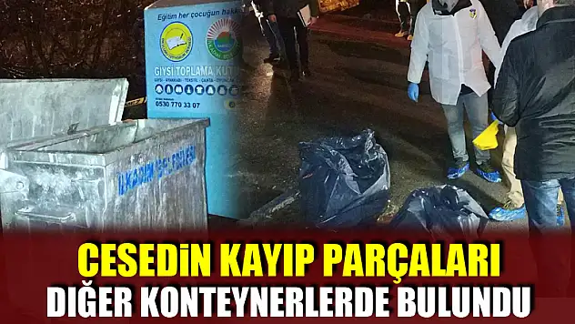 Çöp konteynerinde bulunan cesedin kayıp parçaları da çöpte bulundu