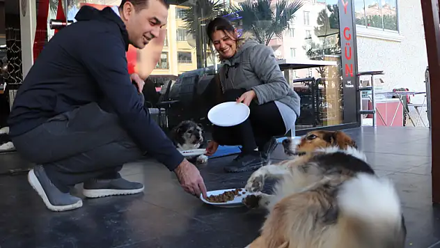 Samsunlu kuaför çiftin sokak hayvanı sevgisi