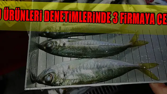 Su ürünleri denetimlerinde 3 firmaya ceza