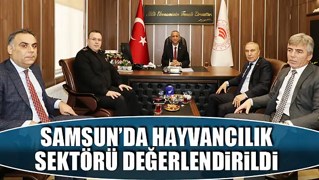 Samsun'da hayvancılık sektörü değerlendirildi