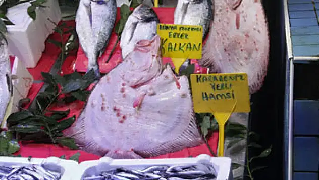 Kalkan balığının fiyatı dudak uçuklatıyor