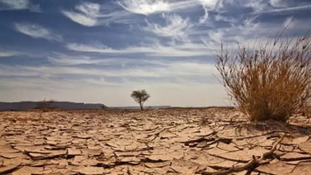 Uzmanlar uyarıyor: 'Küresel ısınma Türkiye'yi de tehdit ediyor'