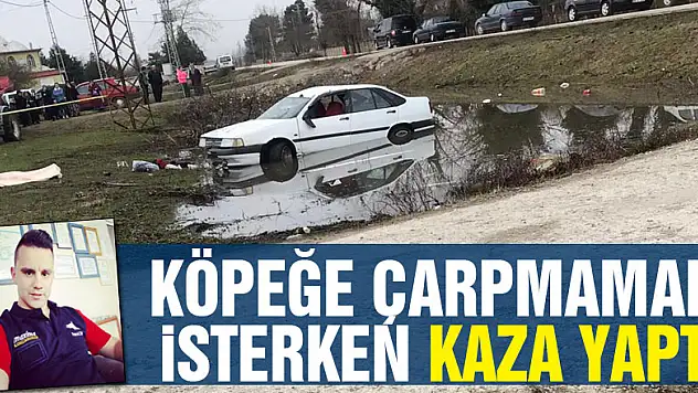 Köpeğe çarpmamak isterken kaza yaptı
