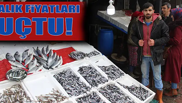 Balık Fiyatları Uçtu!
