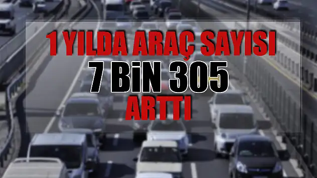 1 yılda araç sayısı 7 bin 305 arttı