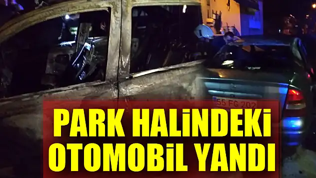 Park halindeki otomobil yandı