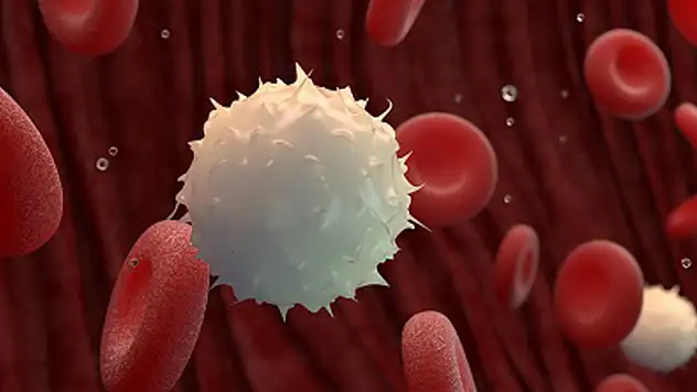 Kanserde 'akıllı' dönem