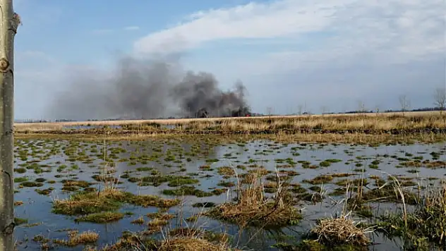 Simenit Gölü'nde yangın: Çok sayıda hayvan telef oldu