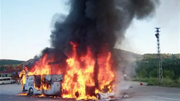 Son anda kurtuldular