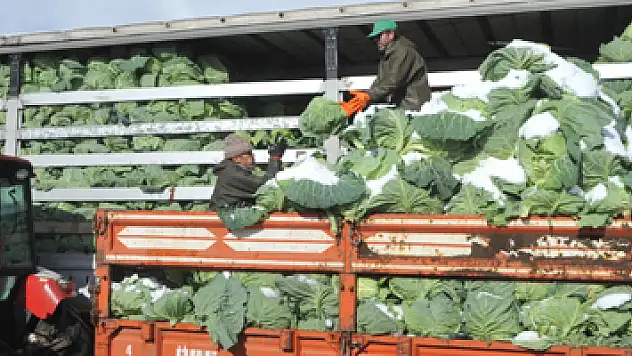 Kışlık sebze fiyatları üreticinin yüzünü güldürmedi