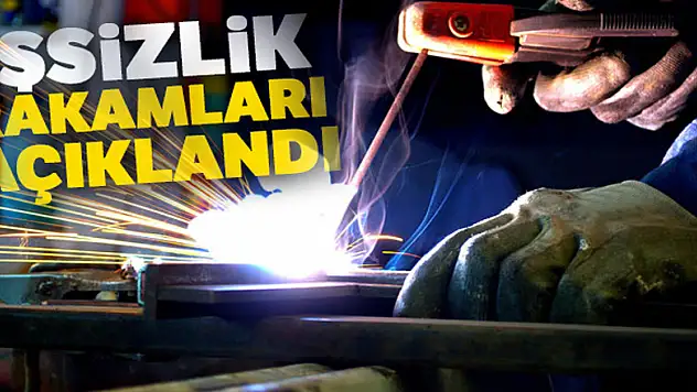 Kasım ayı işsizlik rakamları açıklandı