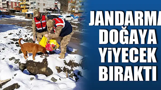 Jandarma Doğaya Yiyecek Bıraktı