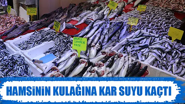 Hamsinin kulağına kar suyu kaçtı