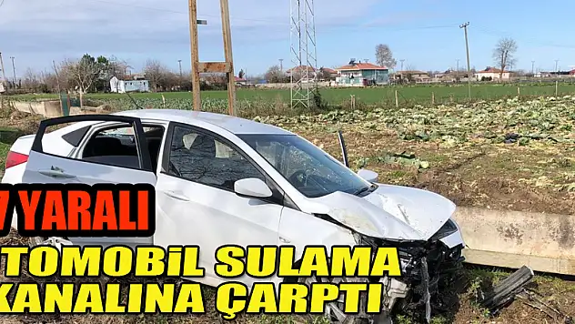 Otomobil sulama kanalına çarptı: 7 yaralı