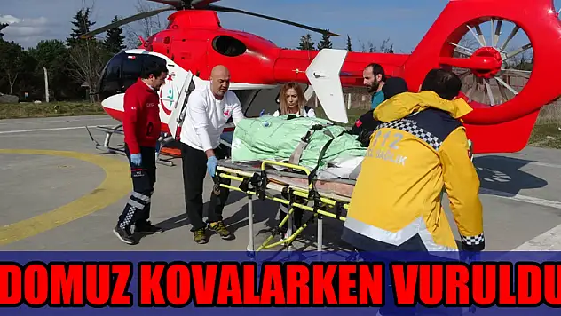 Sopa ile domuz kovalarken vuruldu, helikopterle hastaneye yetiştirildi