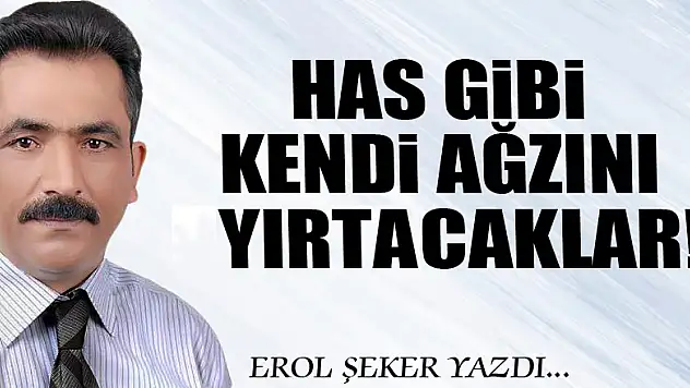 HAS GİBİ KENDİ AĞZINI YIRTACAKLAR!