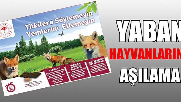 Kuduza karşı yaban hayvanlarına havadan aşılama
