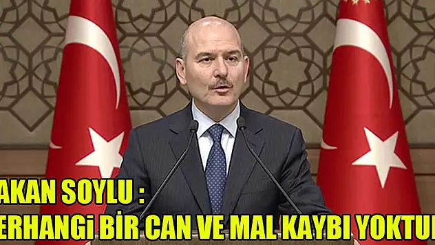 İçişleri Bakanı Soylu: 'Herhangi bir can ve mal kaybı söz konusu değil'