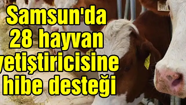 Samsun'da 28 hayvan yetiştiricisine hibe desteği