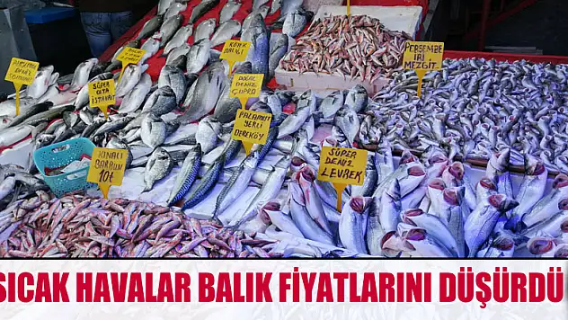 Sıcak havalar balık fiyatlarını düşürdü