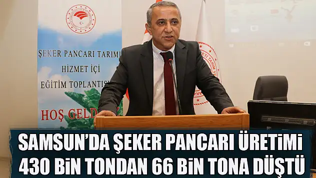 Samsun'da şeker pancarı üretimi 430 bin tondan 66 bin tona düştü