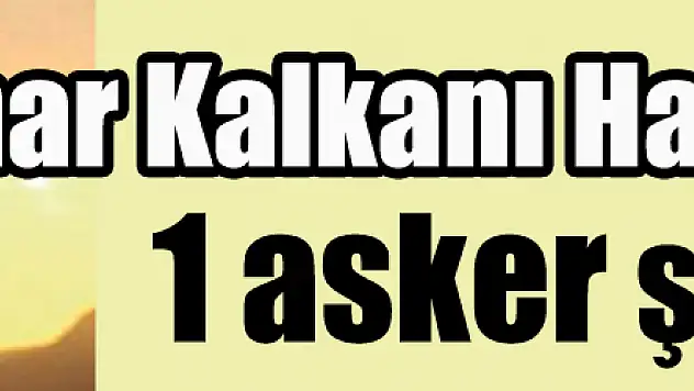 Bahar Kalkanı Harekatı'nda 1 asker şehit oldu