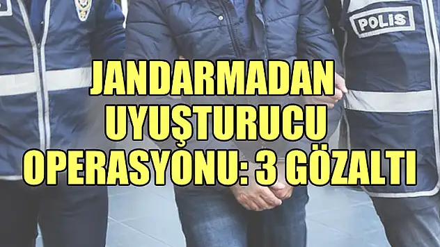 Jandarmadan uyuşturucu operasyonu: 3 gözaltı