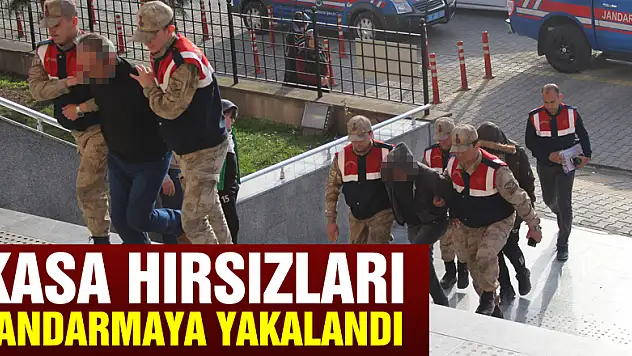 Kasa hırsızları jandarmaya yakalandı
