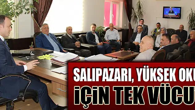 SALIPAZARI, YÜKSEK OKUL İÇİN TEK VÜCUT