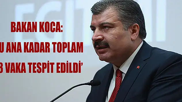 Bakan Koca: 'Avrupa ülkelerinden gelmiş yedi, Amerika'dan gelmiş üç vakamız var'