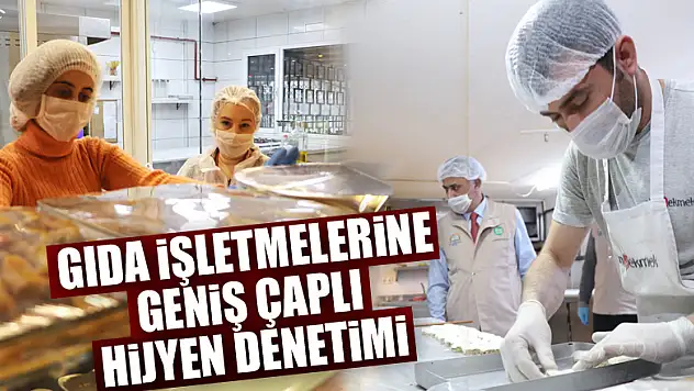 Samsun'da gıda işletmelerine geniş çaplı hijyen denetimi
