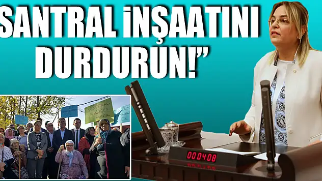'Santral inşaatını durdurun!'