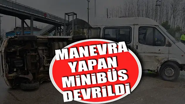 İneğe çarpmamak için manevra yapan minibüs devrildi