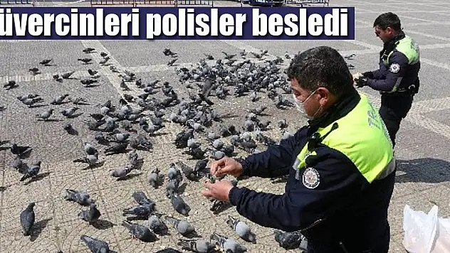 Samsun'da aç kalan güvercinleri polisler besledi